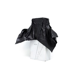 IO NON HO MANI 2 io_non_ho_mani_che_mi_accarezzino_il_volto-Filippo Sorcinelli